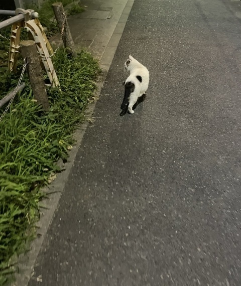 写メ